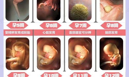【哺乳期腮腺炎的症状和治疗办法】哺乳期腮腺炎的症状和治疗 - 哺乳期腮腺炎的症状和治疗网