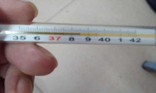 哺乳期乳腺炎怎么治疗最快的方法-【哺乳期腮腺炎的症状和治疗办法】哺乳期腮腺炎的症状和治疗 - 哺乳期腮腺炎的症状和治疗网